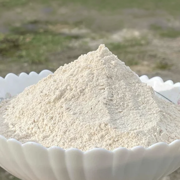 যবের ছাতু